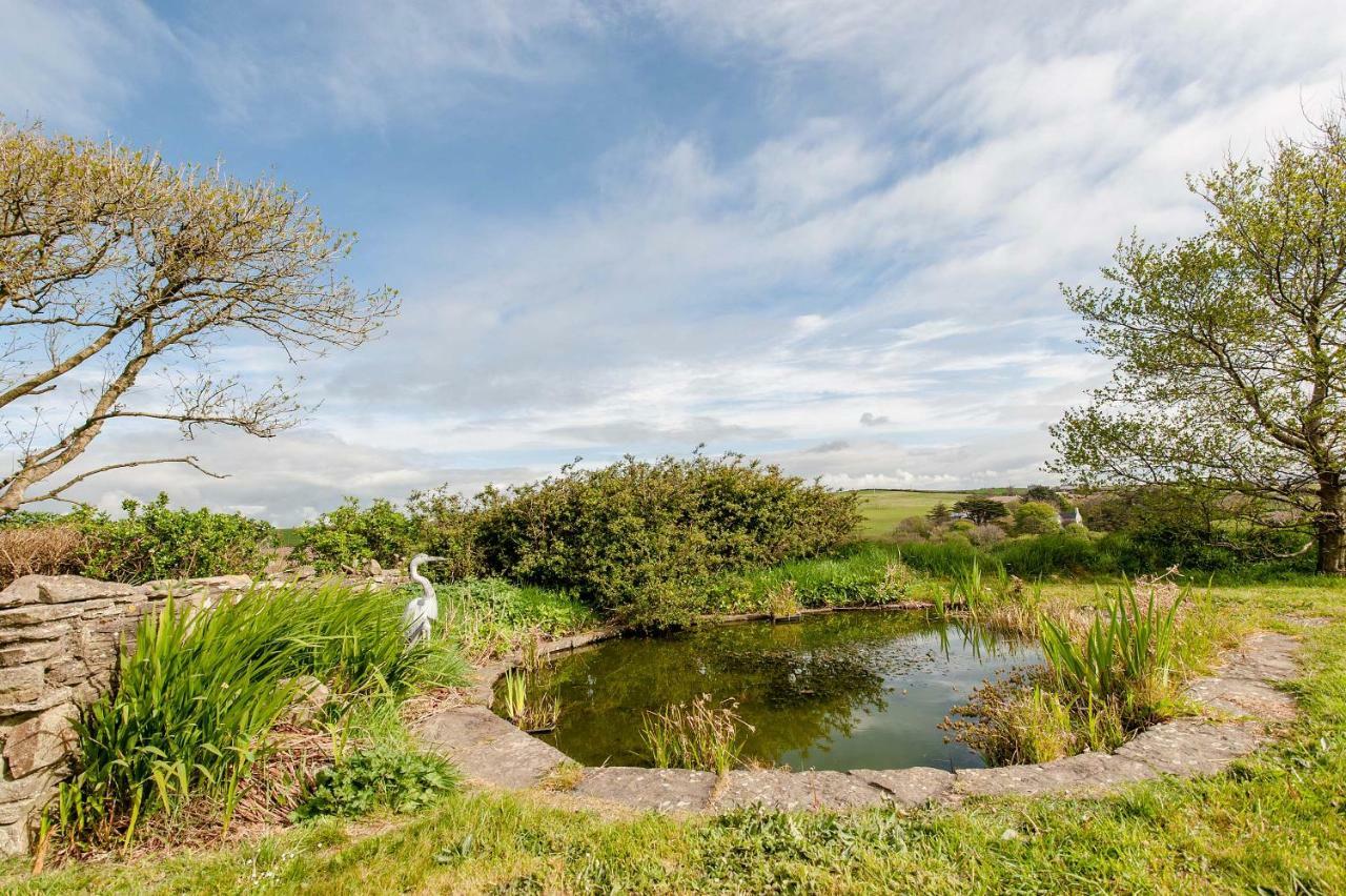 The Wild Atlantic Hideaway Leilighet Clonakilty Eksteriør bilde