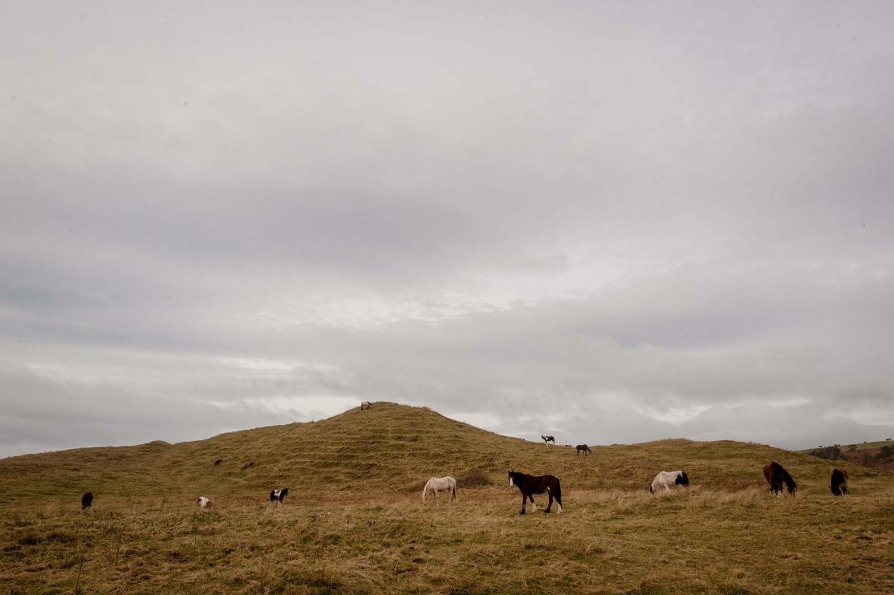 The Wild Atlantic Hideaway Leilighet Clonakilty Eksteriør bilde